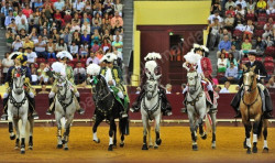 Monumental Corrida de Toiros no Campo Pequeno 8-8-2013